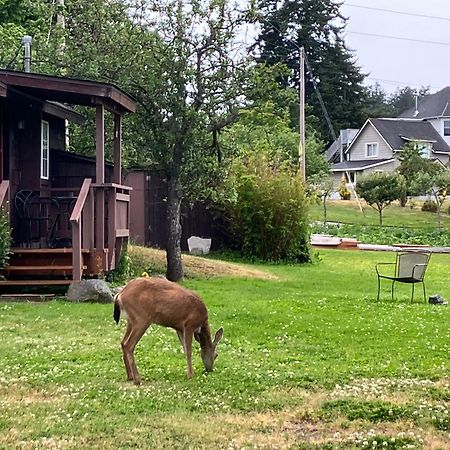 Jones Cabin Friday Harbor Luaran gambar
